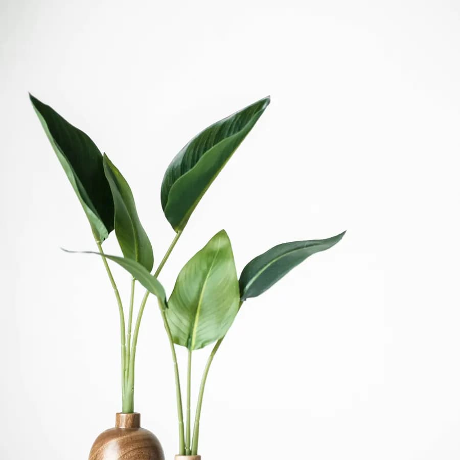 Two turned oak bud vases holding a single broad-leaf stem against a white wall.